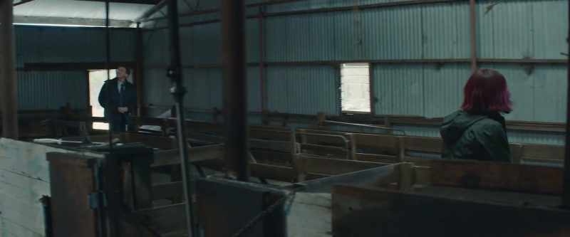 Steel cladding