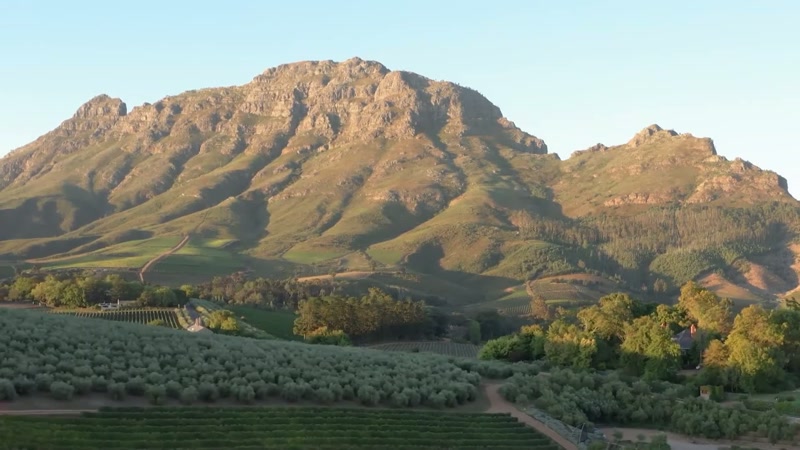 Stellenbosch, South Africa, 2017
