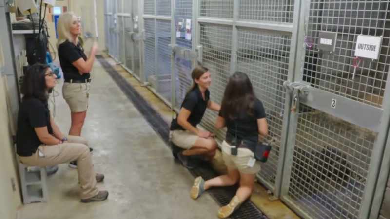 Stephanie: So, the last time when she got a vaccine