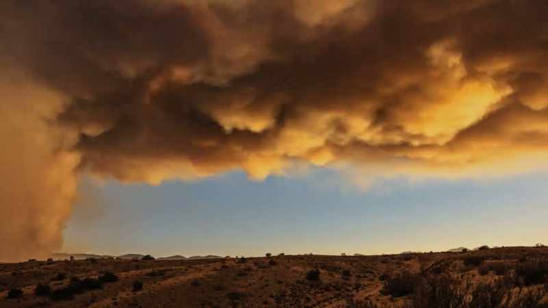 STEPHEN: Even if climate change miraculously went back