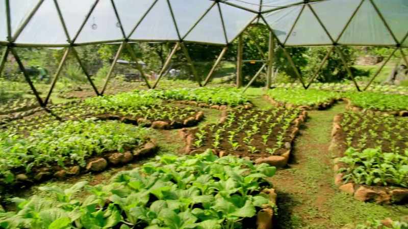 [Stephen] This is the communal garden