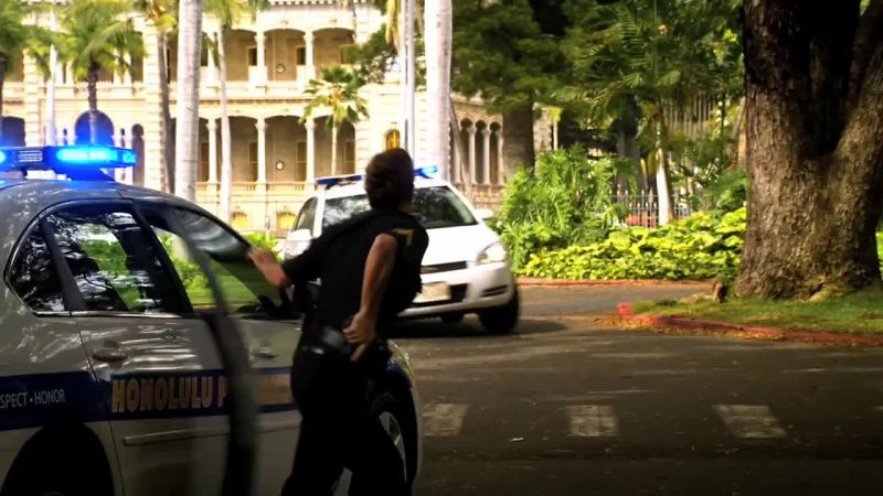 Steve McGarrett, hold it right there