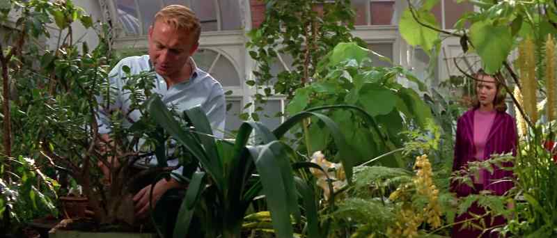 Steve, what is it? - There's something down here