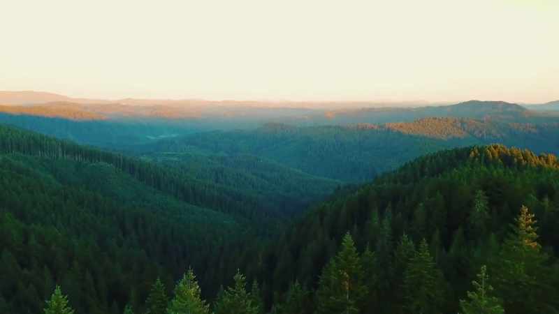 [Steven] Over in Oregon