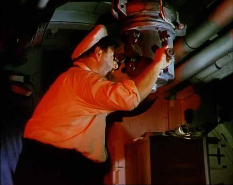 Stevens! Quick! Come here!