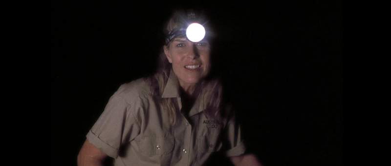 Steve's been catching crocodiles this way