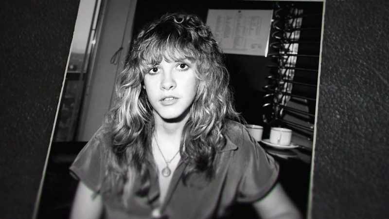 Stevie Nicks illustrated