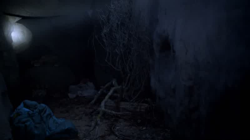 It's a coyote den