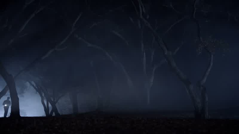 You know, if my dad's right, that means there's another werewolf in town that we haven't met yet