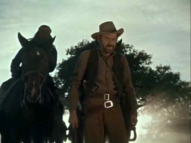 Still only one horse