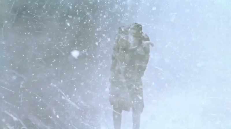 Stinging snow against my face made it impossible to see