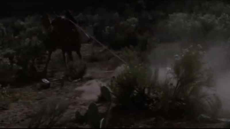 Stop that camel!