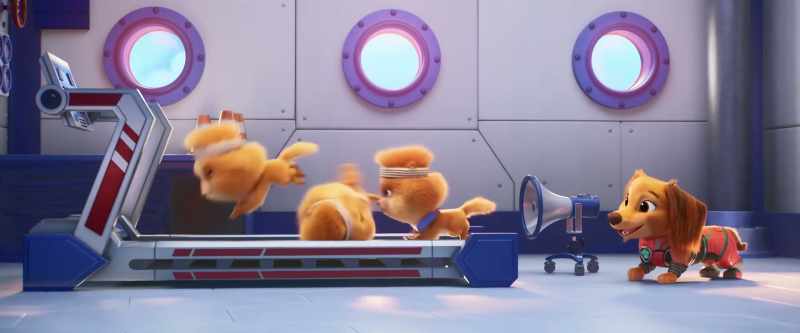 Stop, drop and roll!