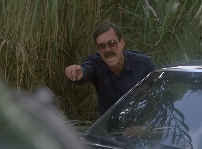 Stop him! He's a cop!