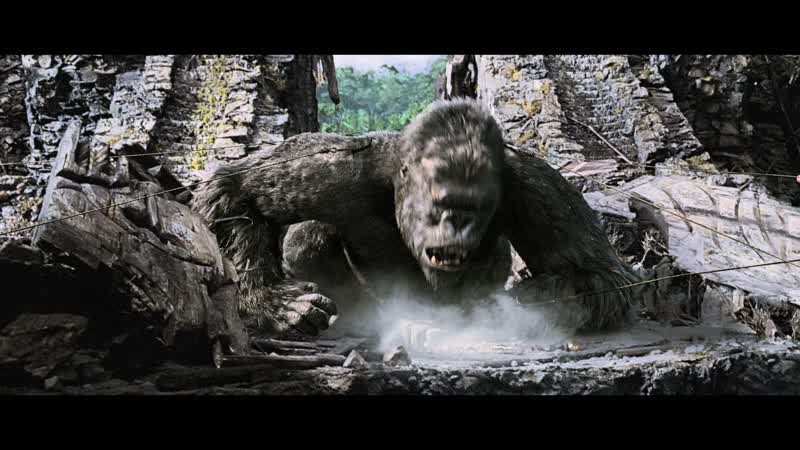 Stop! -Hold the line!