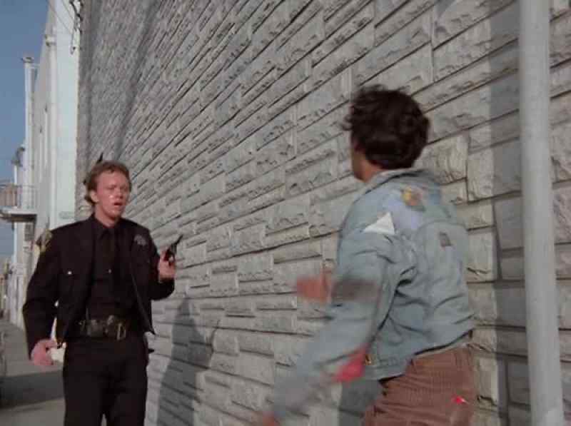 Stop! Right there