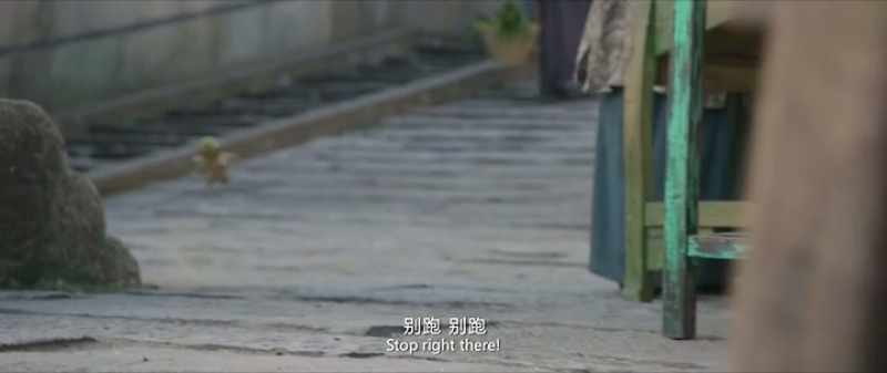 Stop right there!