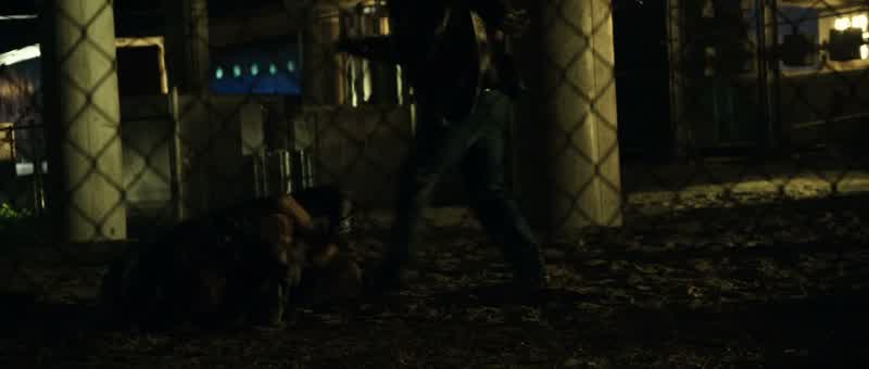 Stop! Stop! Take all his money. Take it all. Your friend's a real dirtbag, kid. He's my father! Well