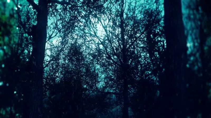 Stop! The flowers and the trees cause you no harm, Jonathan