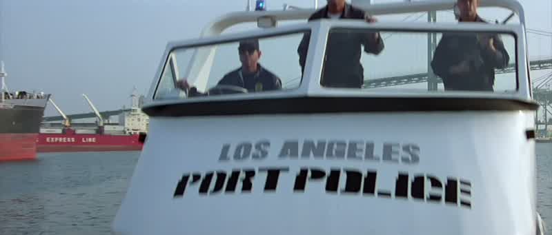 Stop! This is the police. Stop immediately, or we will be forced to open fire! Fire! Fire!