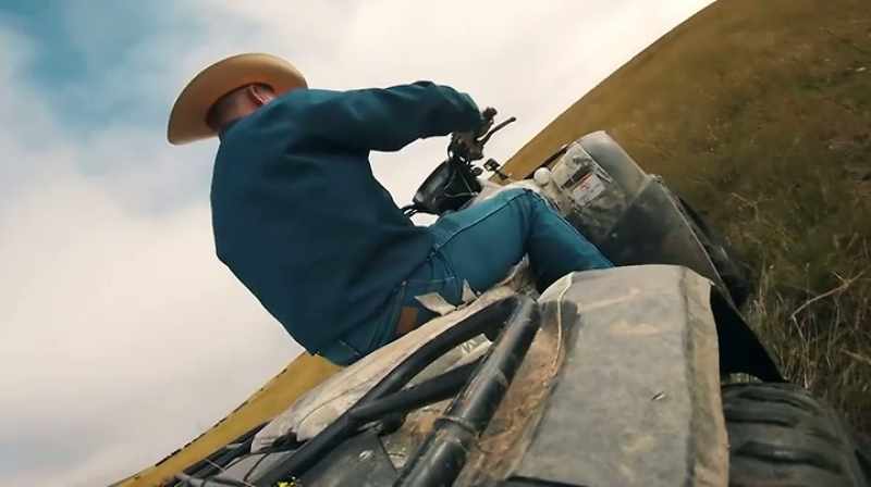 STRUGGLING TO MAKE ENDS MEET RAISING CATTLE