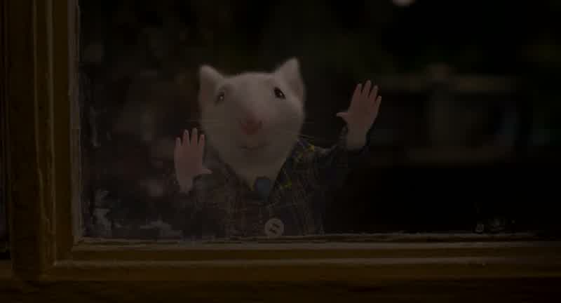 Stuart!
