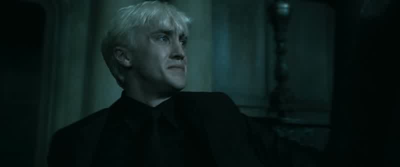 Stupefy! Stupid elf