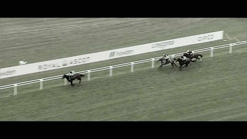 Subjectivist was in a different league and put the race to bed