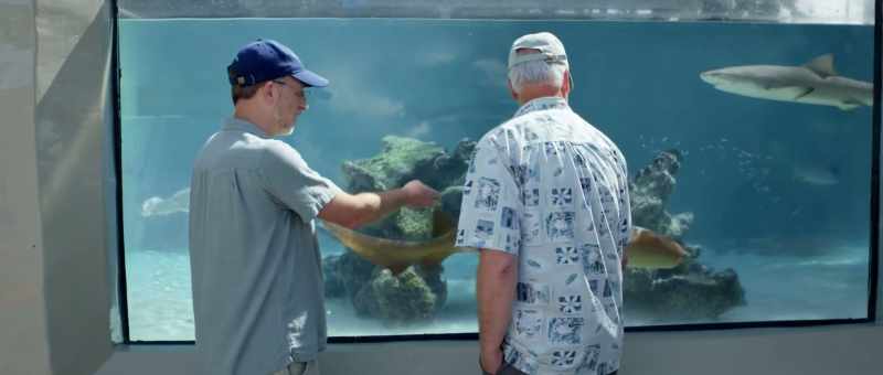 Submarines they could move as efficiently as a shark