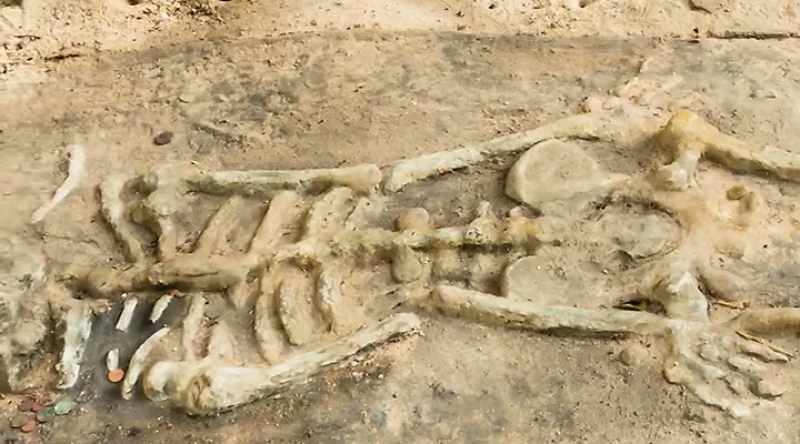 Subsequently other skeletons up to 10 feet tall