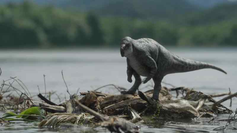 Such as this little dinosaur, Zalmoxes