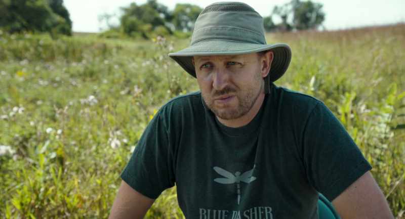 Suddenly, you've got starving,poisoned bees, and guess what