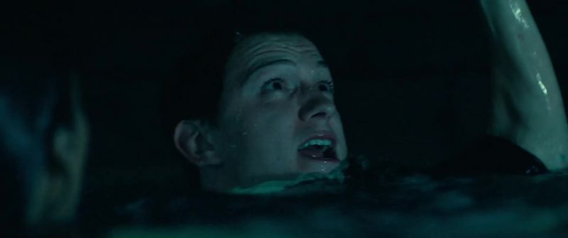 Sully! It's now or never, buddy!