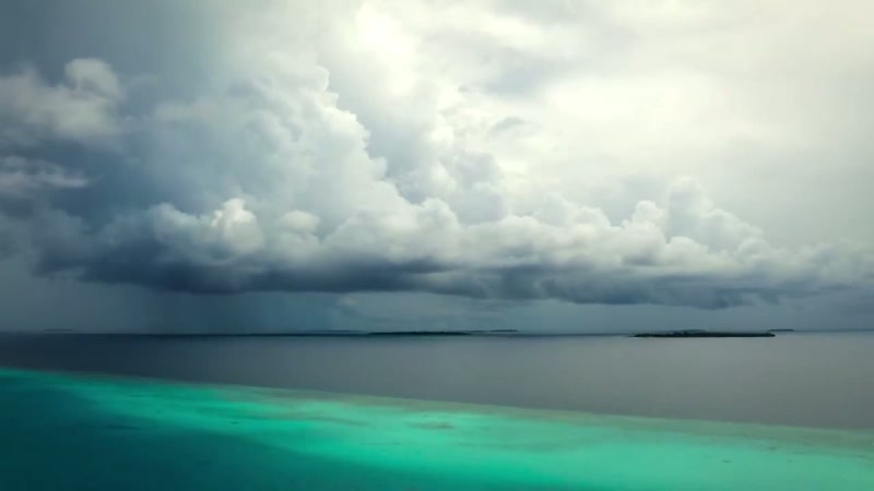 'Summer trade winds