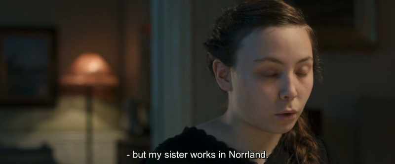 Sunt din Småland