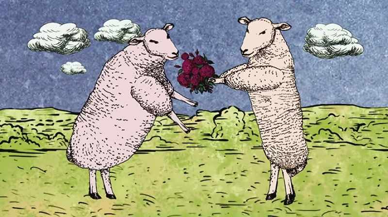 Sure, sounds romantic