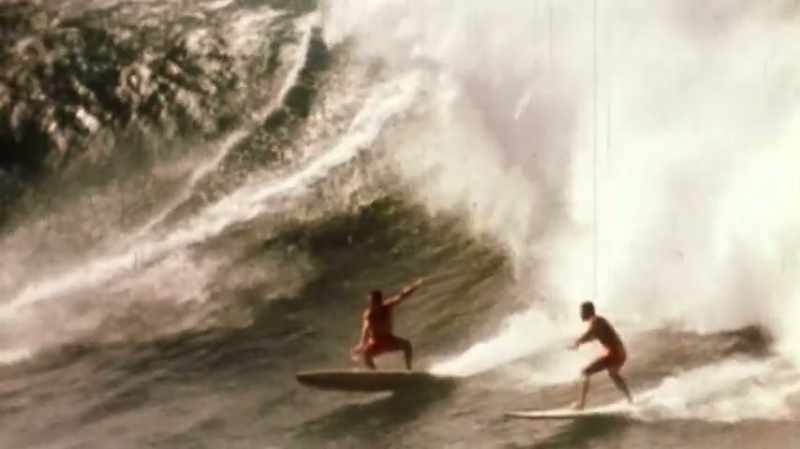 �� Surfin' is the only life