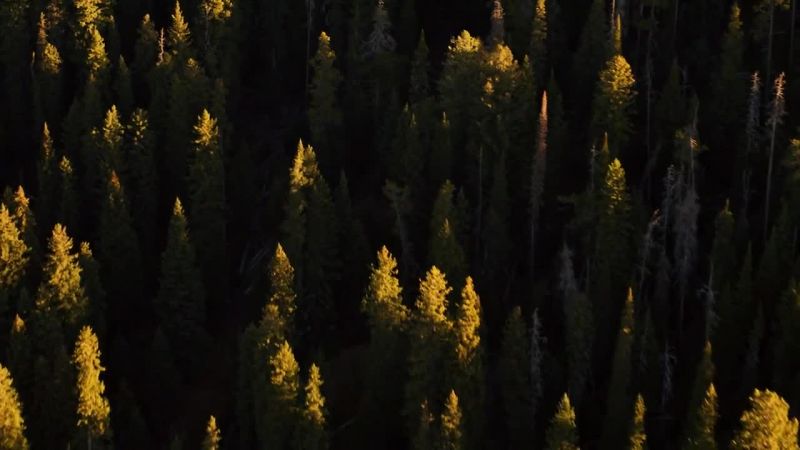 Survivalist Bob: Where do you want me to start?
