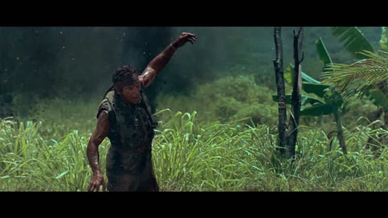 Survive