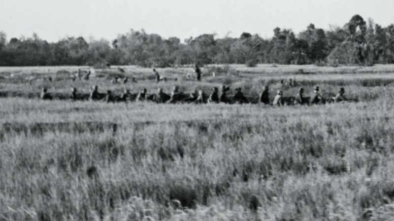 Survivors hid behind a dike