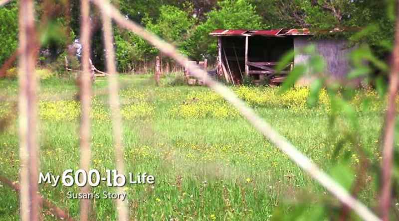 Susan: CHANGING WHAT YOU NEED TO IN LIFE