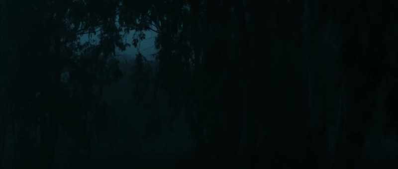 [suspenseful music fades]