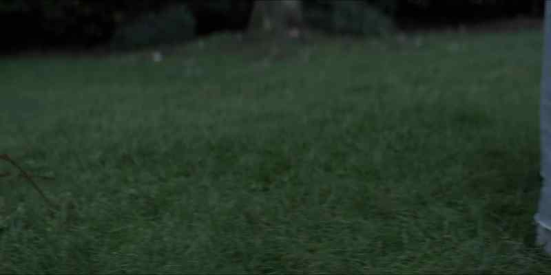 [suspenseful music playing]