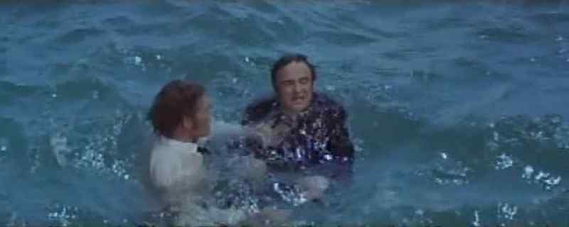 Swallow, look, look! Ahoy, Ahoy