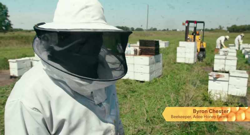 Sweet honey, and we are treating them
