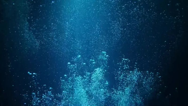 Swimming in circles, blowing out air as she goes