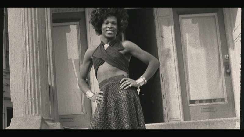 Sylvester is a forefather