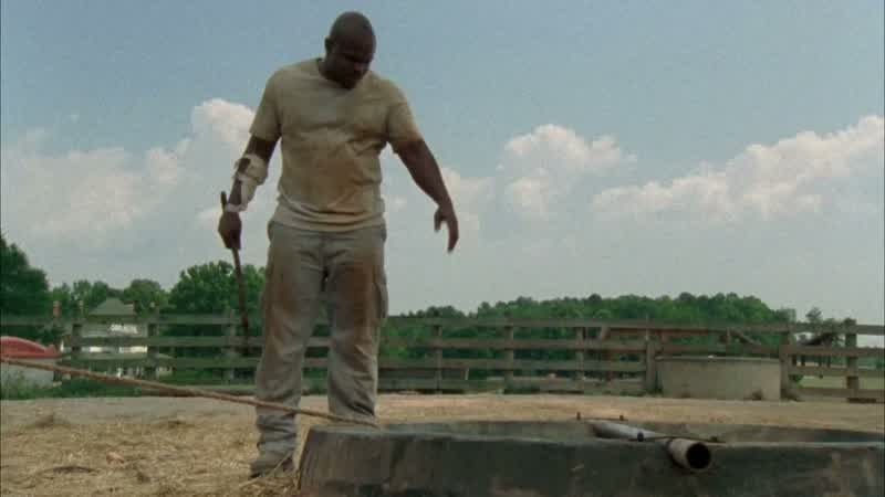 T-Dog: Come on, guys, pull