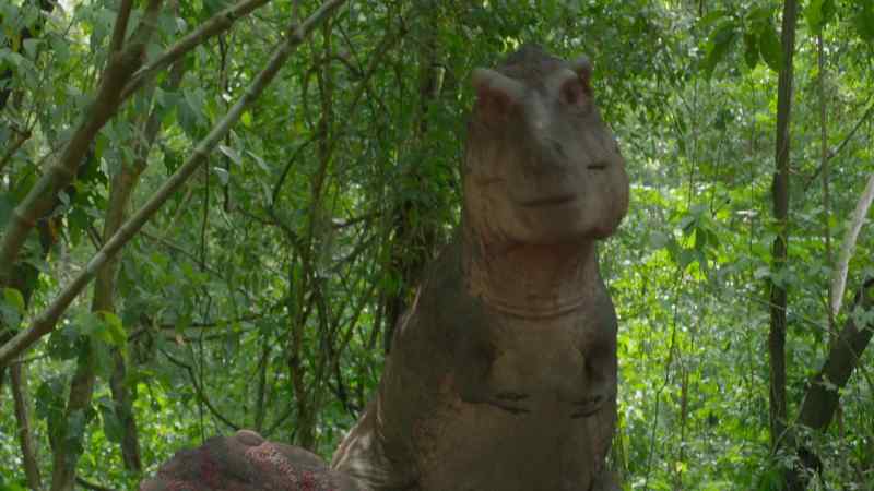 T. rex are built for hunting large herbivores…