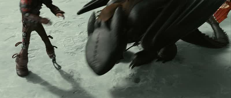 T-Toothless, you okay, bud?